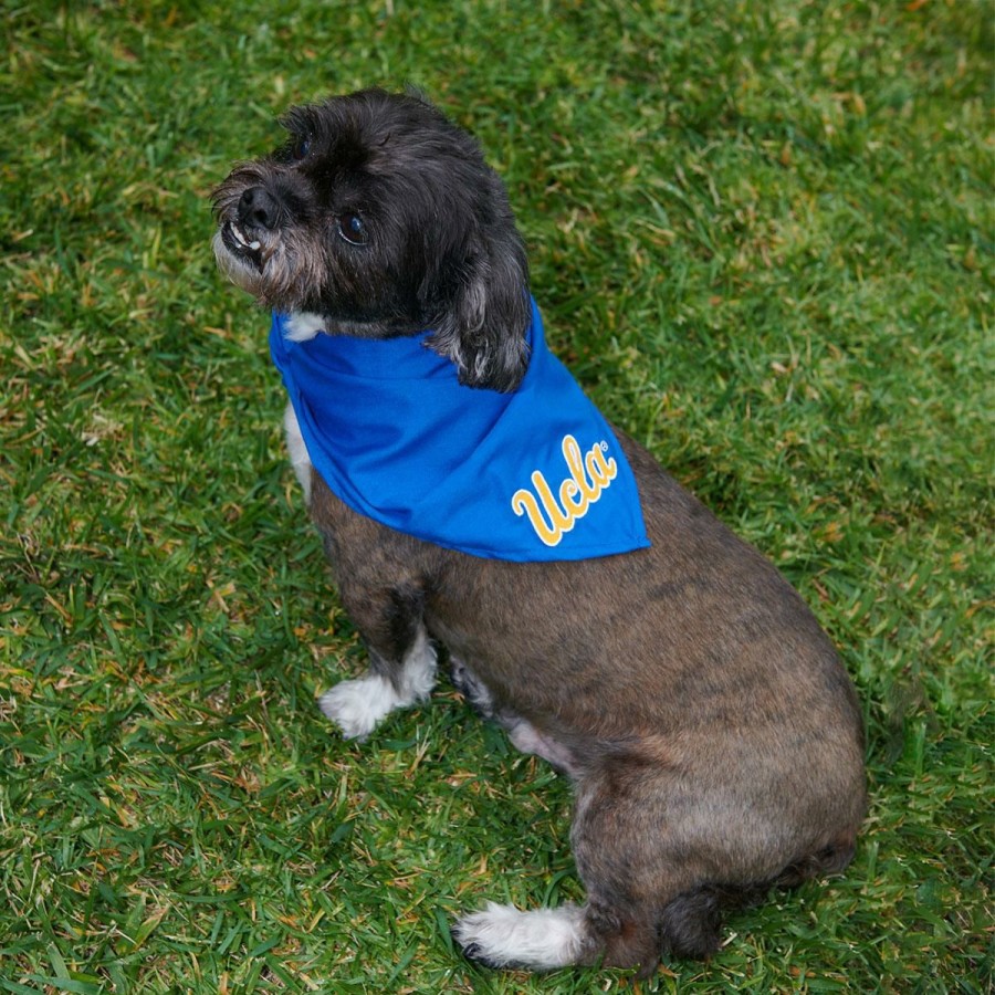 Accessories * | Ucla Pet Bandana Best Quality Blue