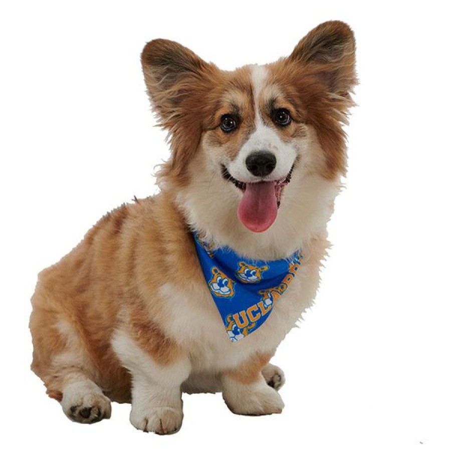 Accessories * | Ucla Reversible Pet Bandana Shop Blue/Gold